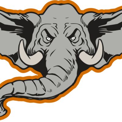 AR ELEPH 11 RC Thumbnail