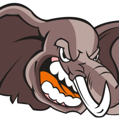 ELEPHANT HD0503 RQC Thumbnail