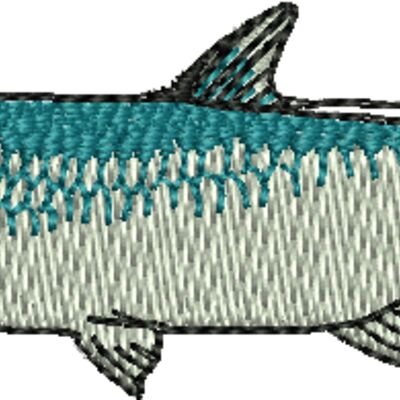 Tarpon - Silver King Thumbnail