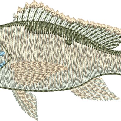 Mutton Snapper  Thumbnail