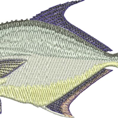 Pompano 1 Thumbnail