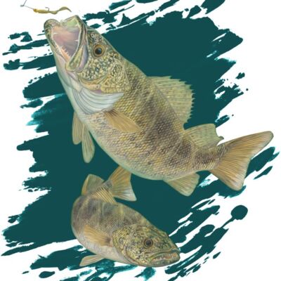 Rise To The Prize (Bass) by Artist Randy McGovern Thumbnail