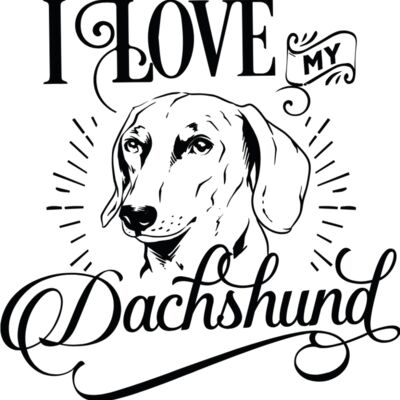Dachshund 1 Thumbnail